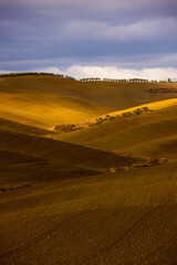 Colorful Tuscany in Italy - the typical landscape and rural fields from above - travel photography