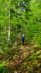 Naklejka na ściany i meble Woman on a hiking trail in the lush green dense forest in the Karawanks in Carinthia, Austria. Borders between Austria, Slovenia, Italy. Triglav National Park. Woodlands, wanderlust. Breathing, fresh