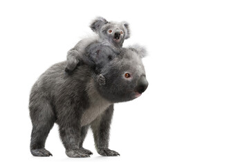 Koala bear with its baby on back