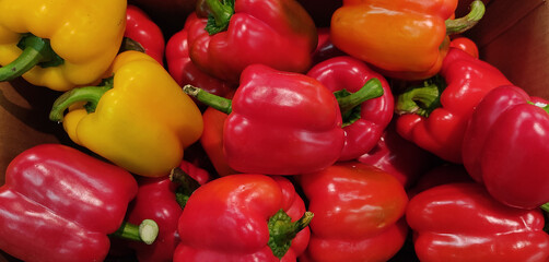 Red and Yellow bell pepper wallpaper, pattern. ripe red pepper, crop, veggie nutrition, vitamin food.