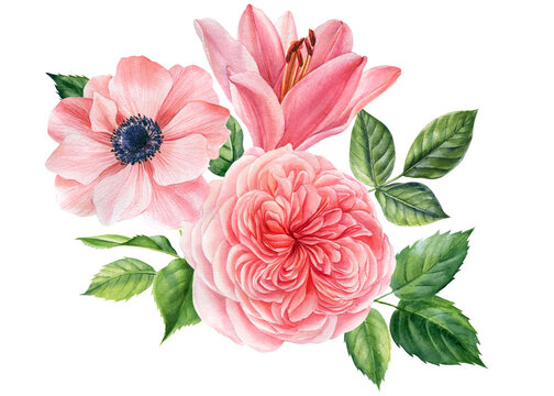 Watercolor flowers rose, anemone, lily and leaves, Wedding greeting card, compositions of pink roses