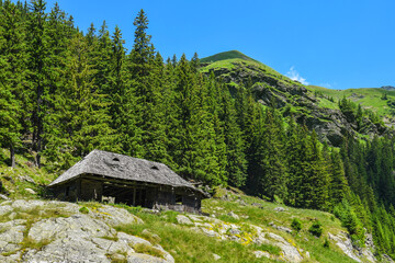 Fototapeta na wymiar Old cottage in the mountains - Mountain landscape Transfagarasan, Romania