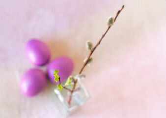 vase with spring bouquet. twigs with young leaves and seals on a light background. Copy space. Selective focus