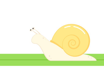 Snail vector. Snail on green leaf. Snail cartoon vector.