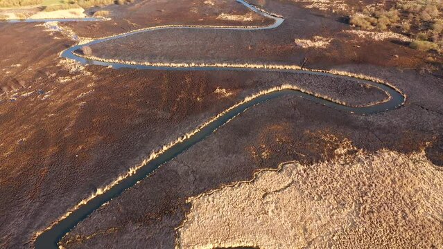 Burnt dry grass in the nature reserve of the river Seret, from a bird's eye view. Filmed in UHD 4k video.