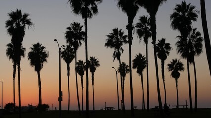 Fototapeta na wymiar Orange and purple sky, silhouettes of palm trees on beach at sunset, California coast, USA. Beachfront park at sundown in San Diego, Mission beach vacations resort. People walking in evening twilight.