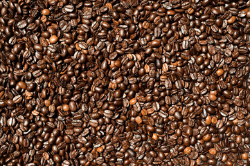 Mixture of different kinds of coffee beans. Coffee Background