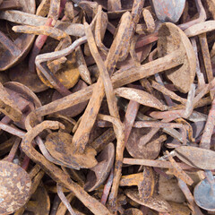 abundant rusty old round nails with signs of use