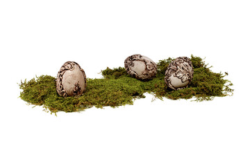 Vintage easter egg on moss base isolated on a white background.