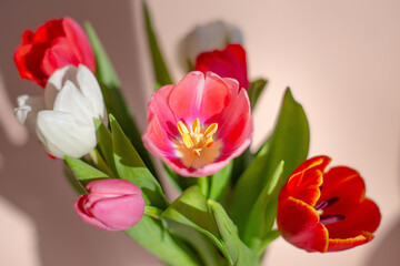 bouquet of tulips in sun on window