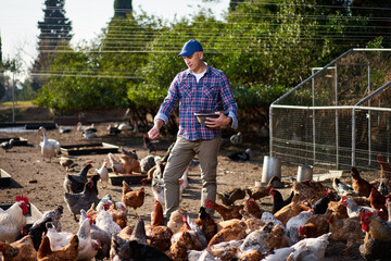 portrait of man on chicken farm © JENOCHE