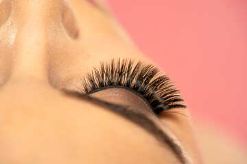 Beautiful macro shot of female eye with extreme long false eyelashes. Perfect shape make-up and long lashes.