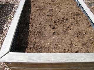 Raised bed refilled with fresh soil