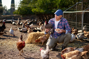 Countryman holding brown chicken in hands in hen house