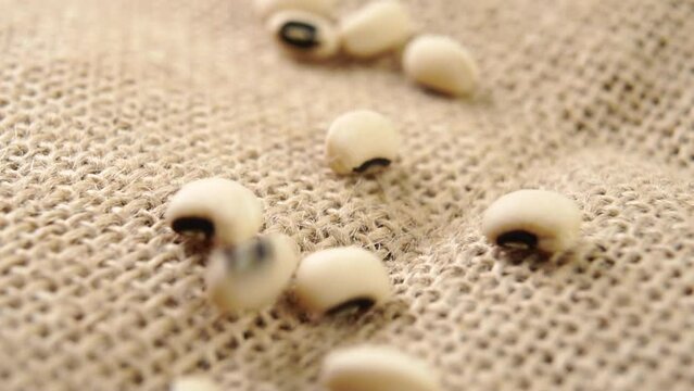 Black eyed peas falling on a rustic burlap. Dry uncooked legumes. Macro. Slow motion