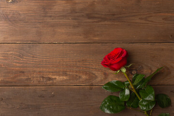 Fototapeta na wymiar Romantic background with red rose on wooden table, top view. Copy space