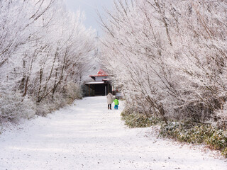 冬の風景、雪が積もった石鎚山の登山道