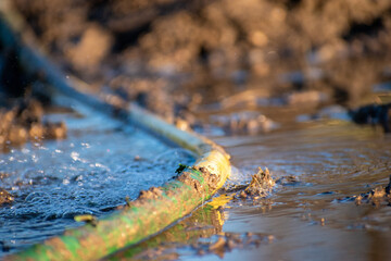 Photos d'une journée au écurie