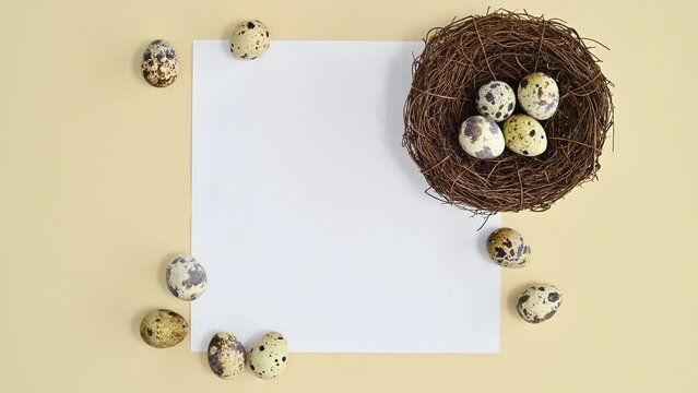 Easter paper card copy space with quail eggs and nest on pastel beige background. Stop motion flat lay