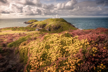 Wales - United Kingdom