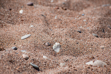 Fine sea sand on the beach with small white stones