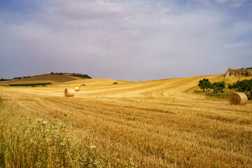 Country landscape near Matera and Gravina di Puglia