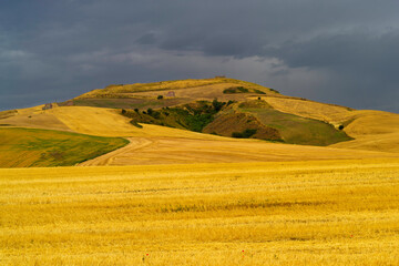 Fototapeta na wymiar Country landscape in Basilicata, Italy, at summer