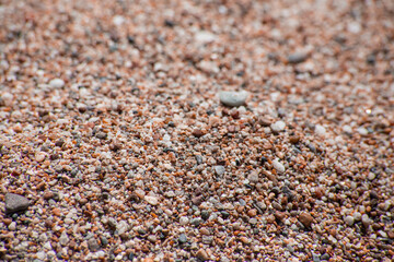 Small sea pebbles with stones with a reddish tint