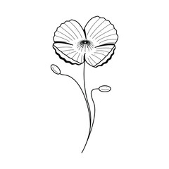 Abstract Hand Drawn Flower Plant Poppy Botanic Floral Nature Bloom Doodle Concept Vector Design Outline Style On White Background Isolated