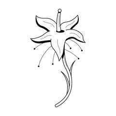 Abstract Hand Drawn Flower Plant Leaf Leaves Botanic Floral Nature Bloom Doodle Concept Vector Design Outline Style On White Background Isolated