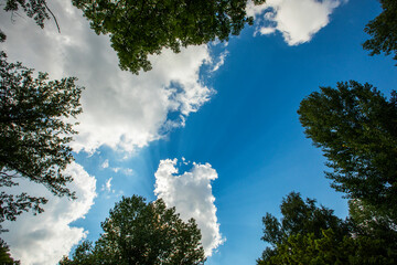 Mountain landscape in La Cerdanya, Pyrenees, France