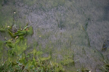 Photos d'une journée au écurie