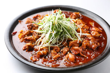 Braised Spicy Chicken with Vegetables