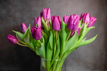 a bouquet purple dutch tulips in a vase