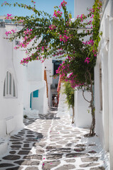 Sightings of Mykonos Island in Greece are of vivid whitewashed houses with vibrant blue doors and window frames, intensely colourful bougainvillaea glorious sunshine framed by the dazzling Aegean Sea