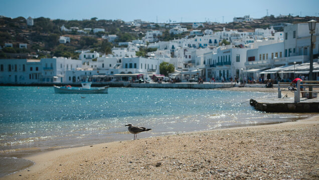 Holiday to Mykonos will certainly put a burn on your pocket but it will keep you on your feet. This island of wild nights and hedonistic shopping sprees always offers more, more and yet some more