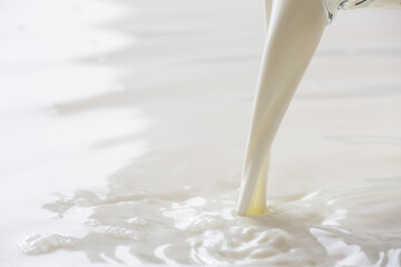 収穫した新鮮なミルクを注ぐ、牛乳