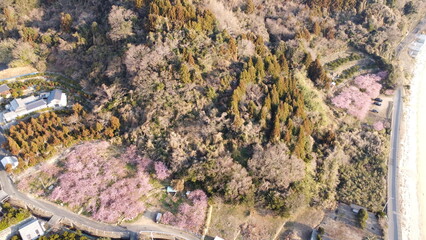 日本のハワイ！青い空とキレイな瀬戸内海の日の出！山口県周防大島小積地区