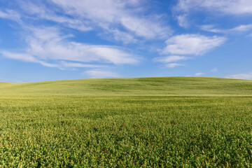 Fototapeta na wymiar Minimalist landscape of a clear horizon between Tuscan cultivated green hills and summer sky. Val d'Orcia, Italy