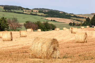 Fototapeta premium Close view to the bales of hay among other cultivated Tuscan hills and forests. Val d'Orcia, Italy