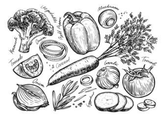 Vegetables set sketch. Farm organic food hand drawn vintage vector illustration