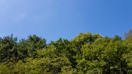 Fototapeta na wymiar white clouds floating in the blue sky