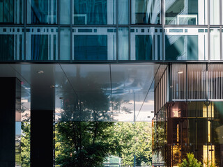 modern urban view, glass building and street with a tree, modern cityscape
