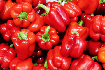 Bulgarian pepper fruit. Growing and selling vegetables wholesale and retail. Close-up