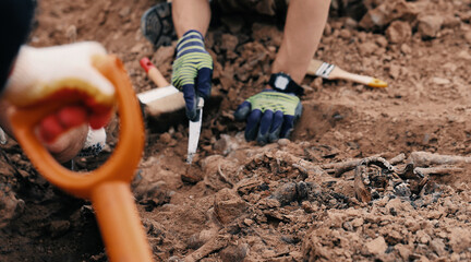 Archaeological excavations at the crime scene, Human remains in the ground. War crime scene. Site...
