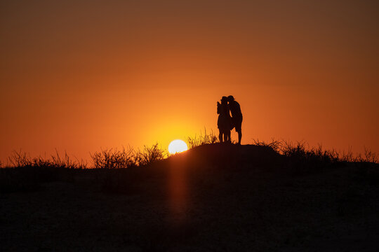 silhouette of a lovely couple in sunset