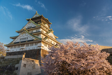 Osaka castle with sakura blossom under sunset in Japan