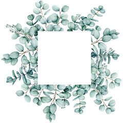 Watercolor eucalyptus Square Frame, Floral eucalyptus leaves and branches exotic Border, isolated on white background, Copy Space Hand Painted Frame