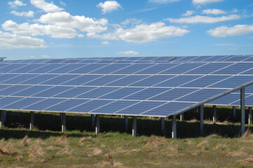 Rows of solar panels and green nature