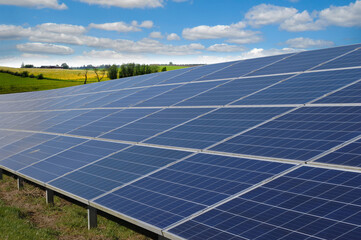Rows of solar panels and green nature - 491206762